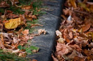 curb, road, side walk, pavement, fall, leaves, nature, grass, colorful
